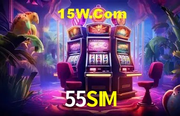 Sistemas de Segurança 55SIM