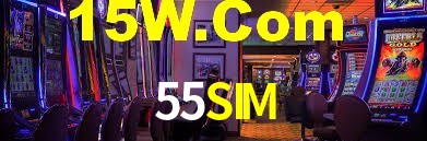 55SIM App Interface