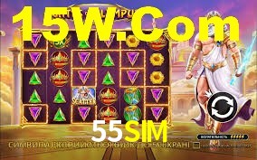 55SIM