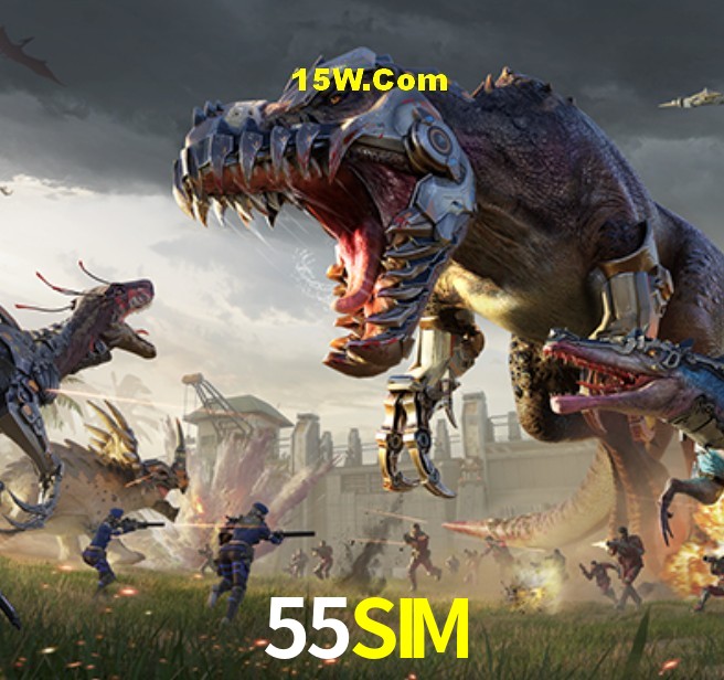 Login Seguro 55SIM
